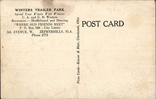 Zimski park prikolica Zefirhills, Florida, Florida originalna Vintage razglednica