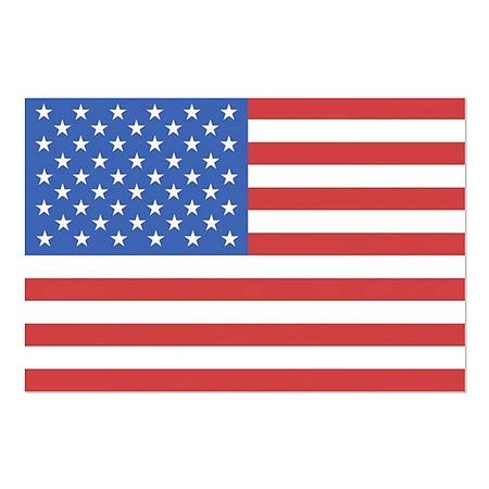 CGSIGNLAB | Stisak prozora American Flag | 18 x12