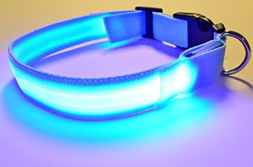 LED svjetlo za pse s USB punjivom baterijom - ovratnik za kućne ljubimce - mala plava